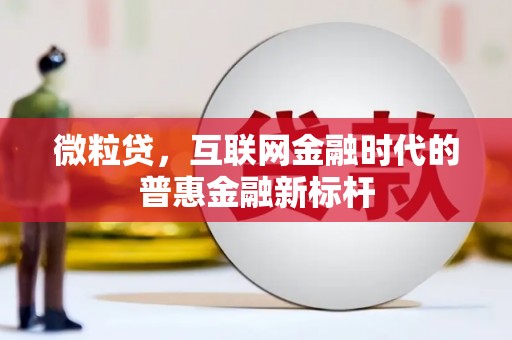 隆子微粒贷，互联网金融时代的普惠金融新标杆