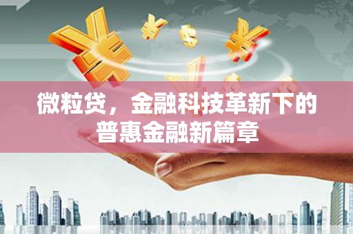 隆子微粒贷，金融科技革新下的普惠金融新篇章
