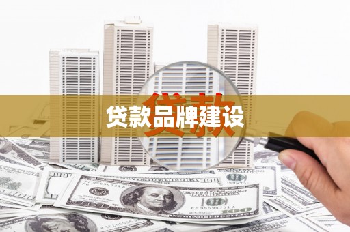 隆子贷款品牌建设
