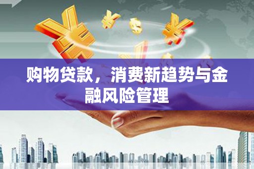 隆子购物贷款，消费新趋势与金融风险管理