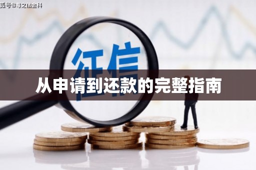 隆子从申请到还款的完整指南