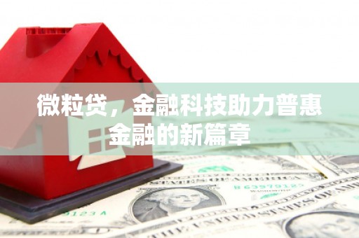 隆子微粒贷，金融科技助力普惠金融的新篇章