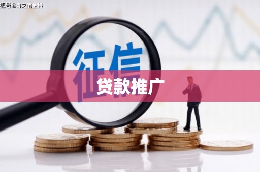 隆子贷款推广