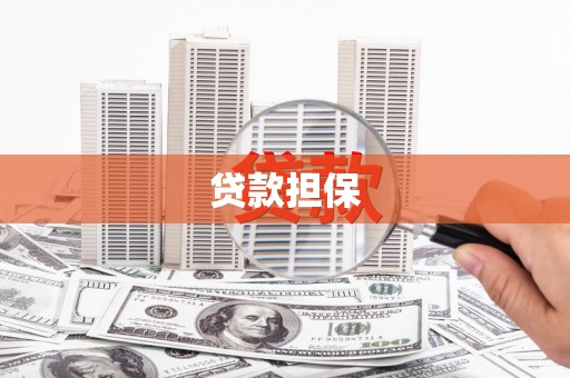 隆子贷款担保