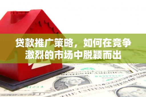 隆子贷款推广策略，如何在竞争激烈的市场中脱颖而出