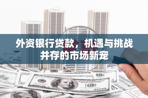 隆子外资银行贷款，机遇与挑战并存的市场新宠