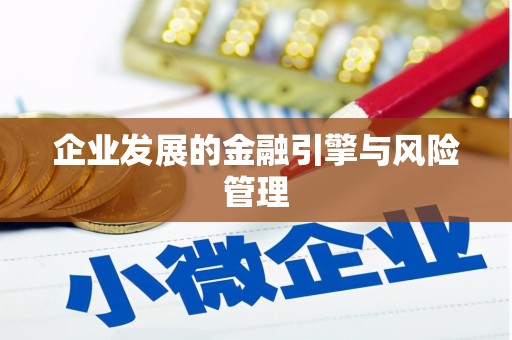 隆子企业发展的金融引擎与风险管理