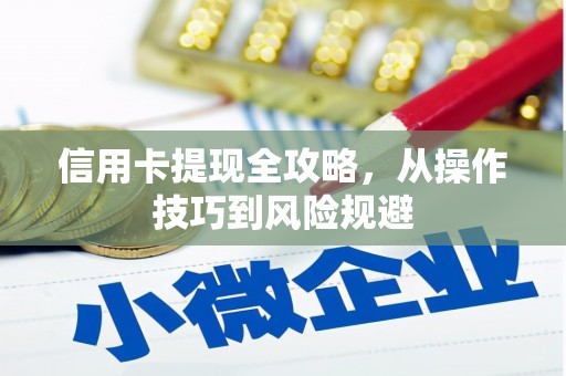 隆子信用卡提现全攻略，从操作技巧到风险规避