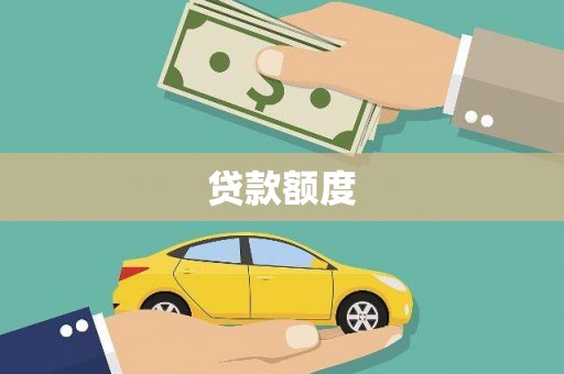 隆子贷款额度