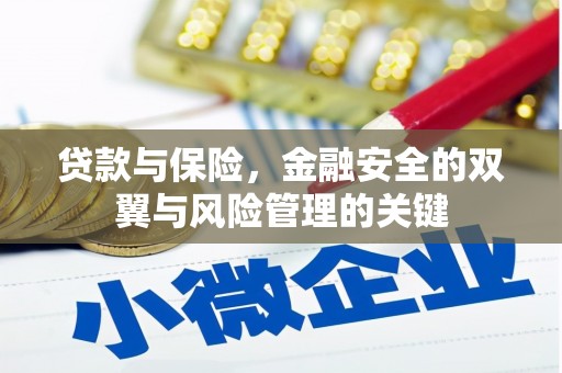 隆子贷款与保险，金融安全的双翼与风险管理的关键
