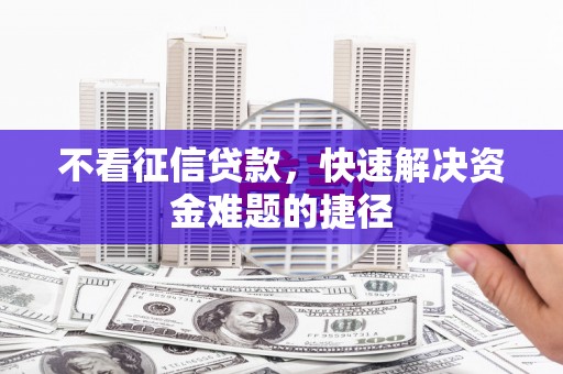 隆子不看征信贷款，快速解决资金难题的捷径