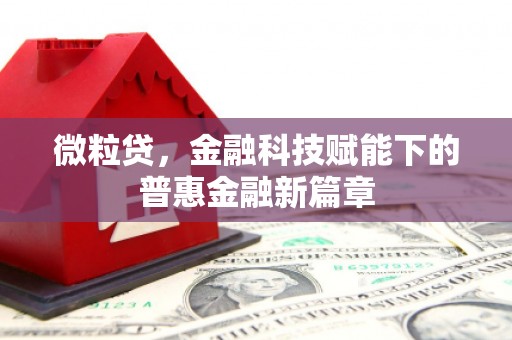 隆子微粒贷，金融科技赋能下的普惠金融新篇章