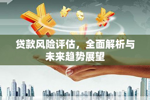 隆子贷款风险评估，全面解析与未来趋势展望