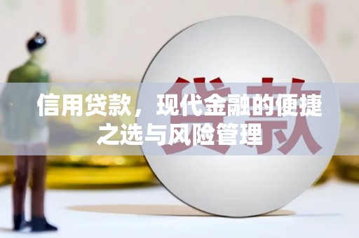 隆子信用贷款，现代金融的便捷之选与风险管理
