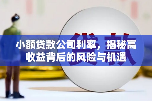 隆子小额贷款公司利率，揭秘高收益背后的风险与机遇