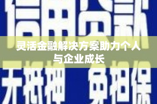 隆子灵活金融解决方案助力个人与企业成长
