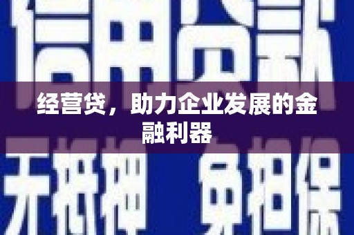 隆子经营贷，助力企业发展的金融利器