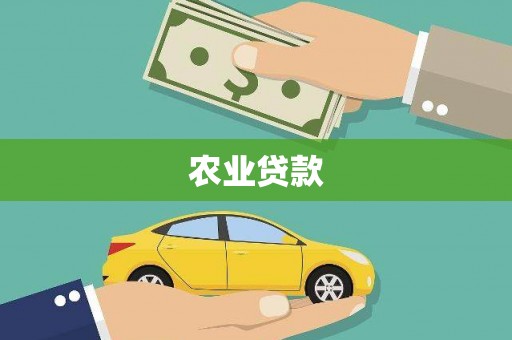 隆子农业贷款