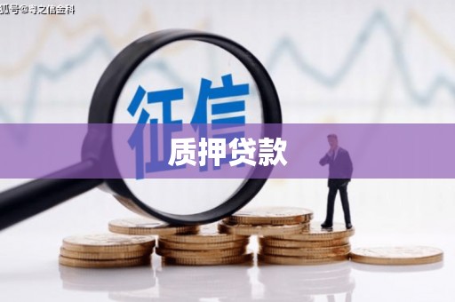 隆子质押贷款