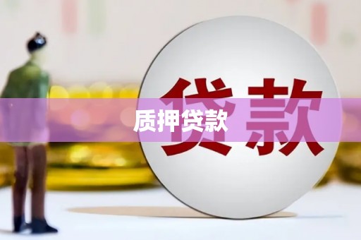 隆子质押贷款