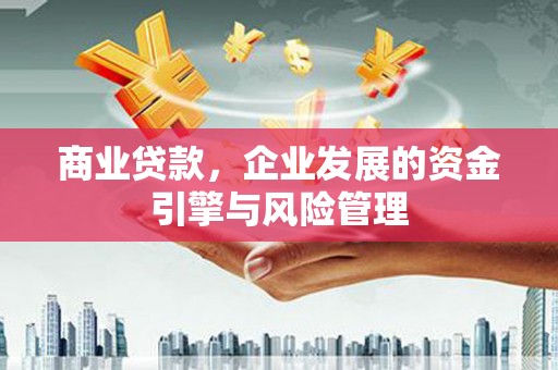 隆子商业贷款，企业发展的资金引擎与风险管理