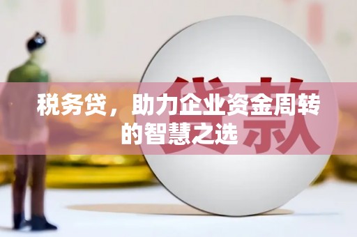 隆子税务贷，助力企业资金周转的智慧之选