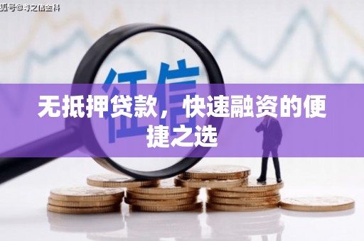 隆子无抵押贷款，快速融资的便捷之选