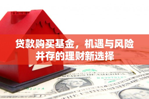 隆子贷款购买基金，机遇与风险并存的理财新选择