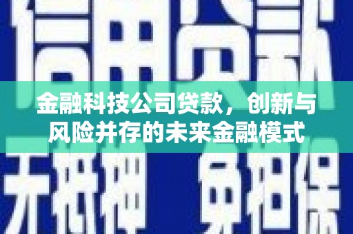 隆子金融科技公司贷款，创新与风险并存的未来金融模式
