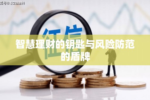 隆子智慧理财的钥匙与风险防范的盾牌