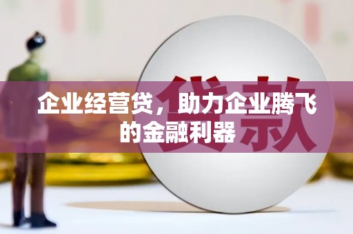 隆子企业经营贷，助力企业腾飞的金融利器