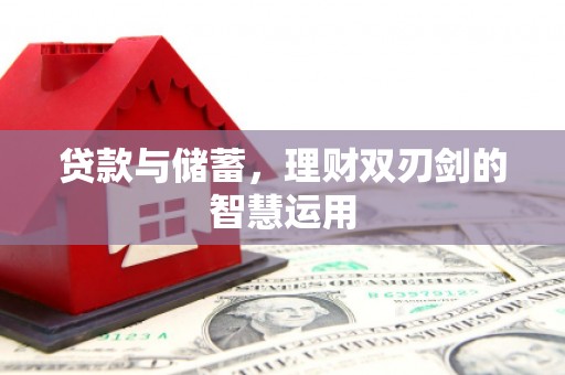 隆子贷款与储蓄，理财双刃剑的智慧运用