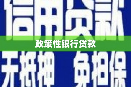 隆子政策性银行贷款