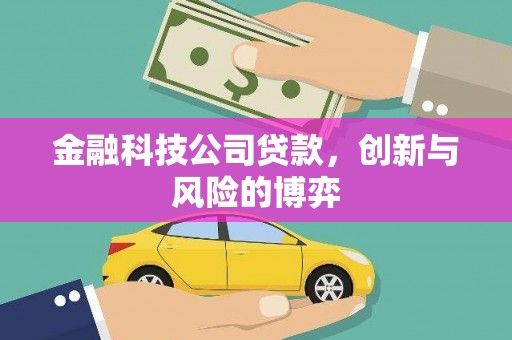 隆子金融科技公司贷款，创新与风险的博弈