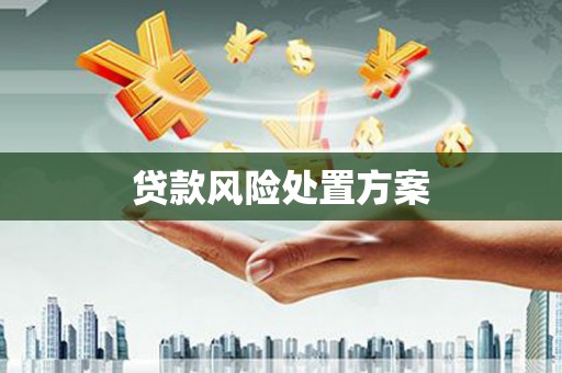 隆子贷款风险处置方案