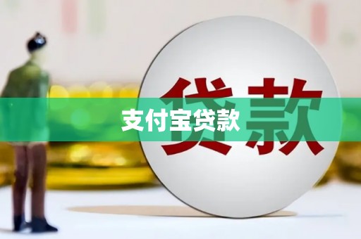 隆子支付宝贷款