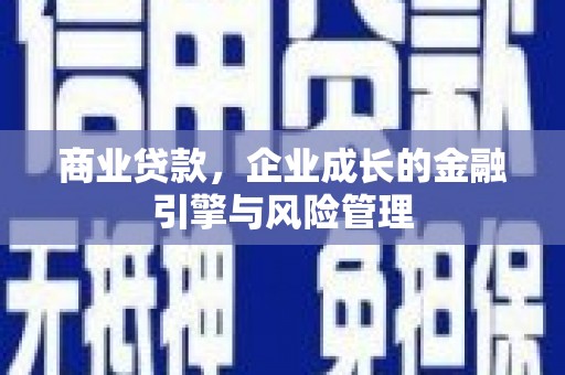 隆子商业贷款，企业成长的金融引擎与风险管理