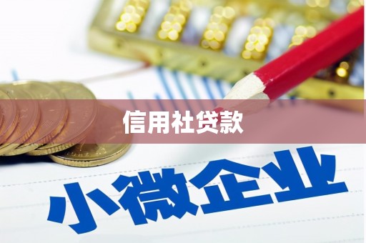 隆子信用社贷款