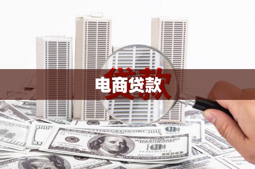 隆子电商贷款