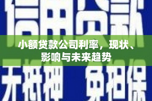 隆子小额贷款公司利率，现状、影响与未来趋势