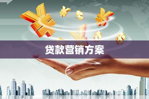 隆子贷款营销方案