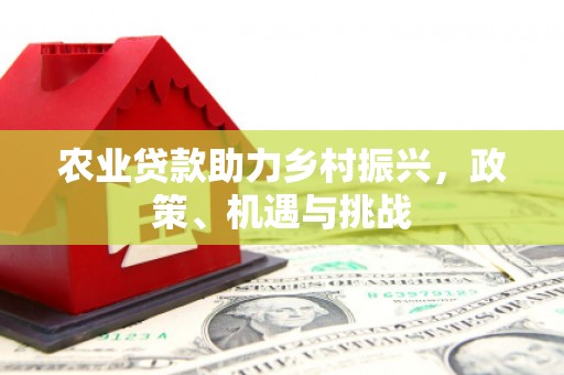 隆子农业贷款助力乡村振兴，政策、机遇与挑战