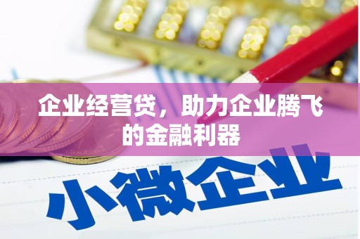 隆子企业经营贷，助力企业腾飞的金融利器