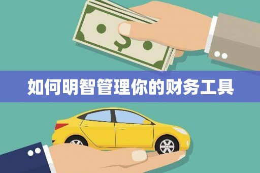 隆子如何明智管理你的财务工具