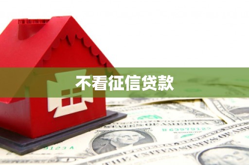 隆子不看征信贷款