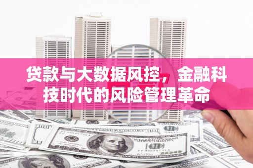 隆子贷款与大数据风控，金融科技时代的风险管理革命