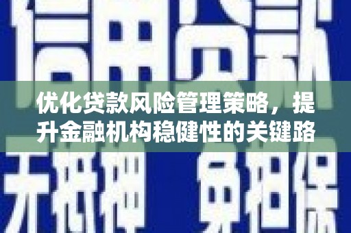 隆子优化贷款风险管理策略，提升金融机构稳健性的关键路径
