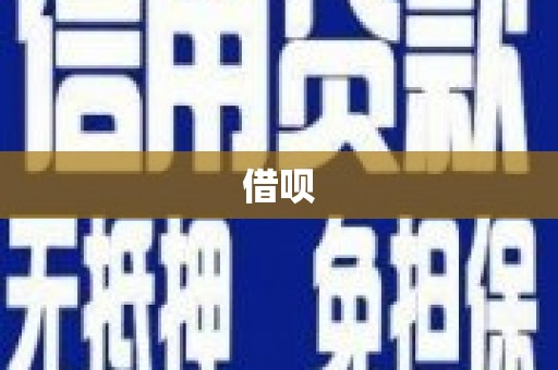 隆子借呗
