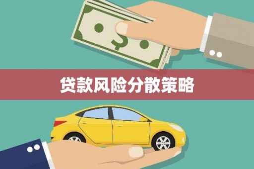隆子贷款风险分散策略