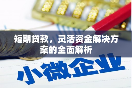 隆子短期贷款，灵活资金解决方案的全面解析